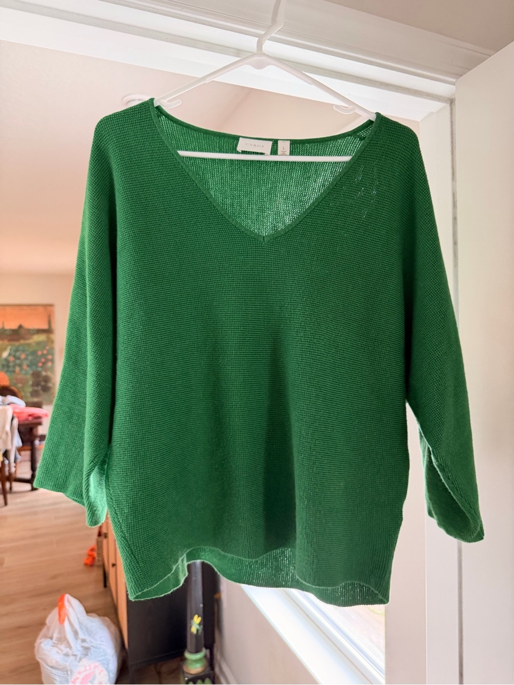 Cyrus Green V-Neck Lightweight Knit Sweater